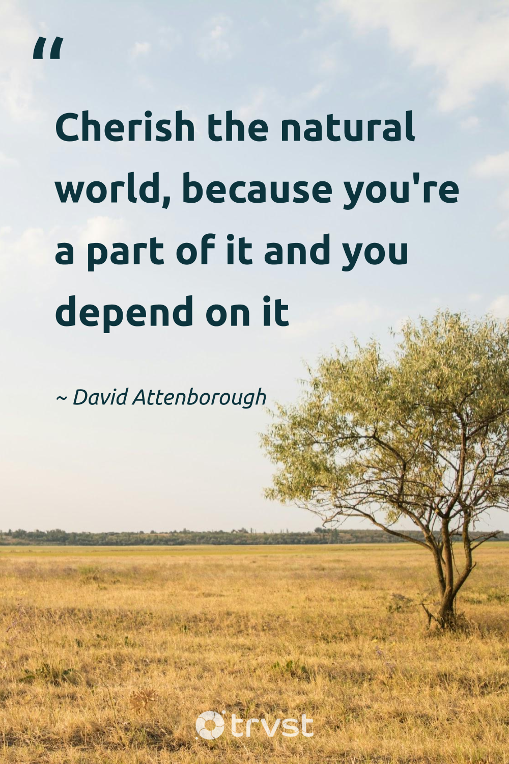 40-david-attenborough-quotes-showing-his-dedication-to-earth