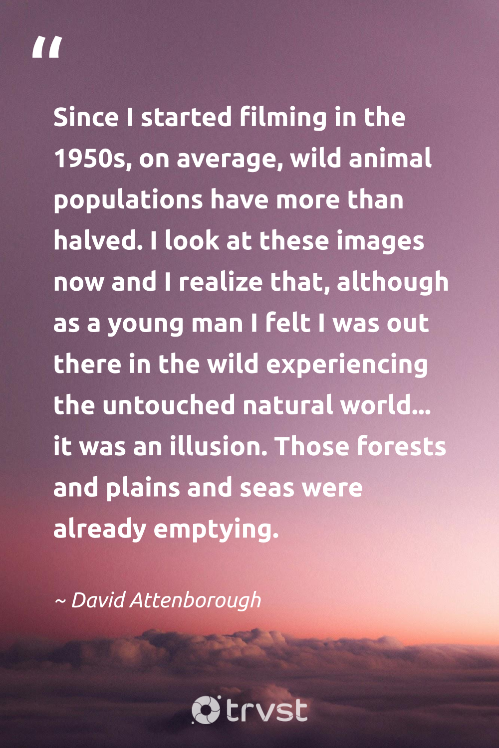 40-david-attenborough-quotes-showing-his-dedication-to-earth