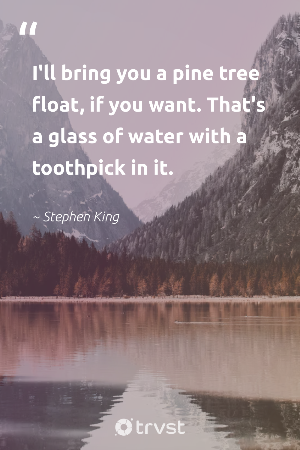 41 Pine Tree Quotes Inspiring Forest Walks Amongst the Trees