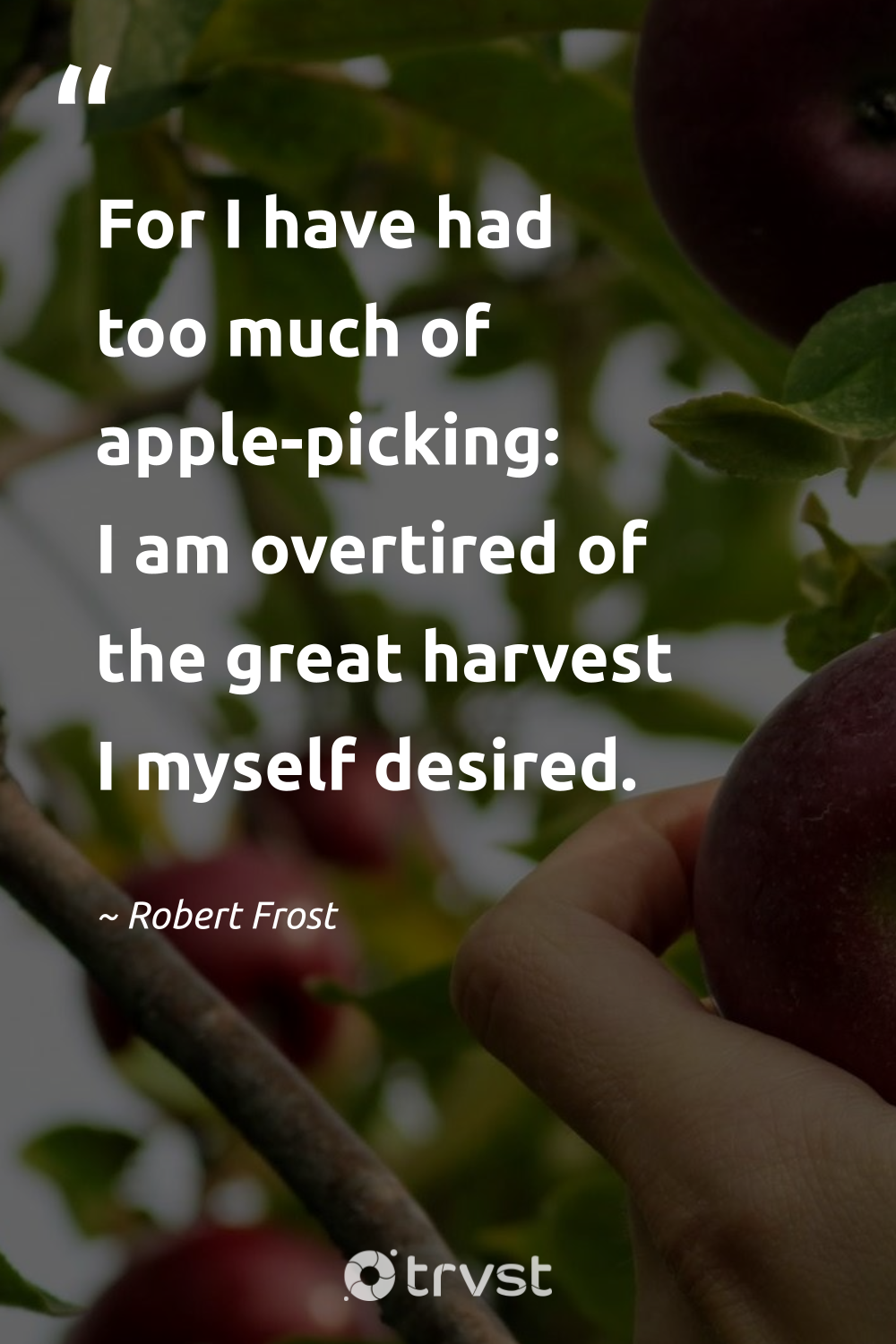 60 Apple Quotes To Keep The Doctor Away
