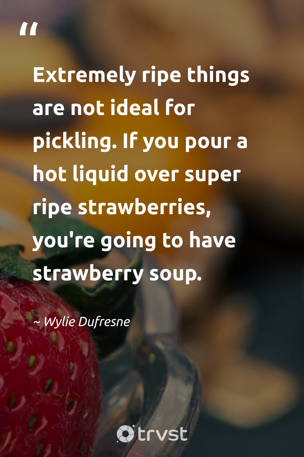 85 Strawberry Quotes To Freshen And Sweeten Your Day